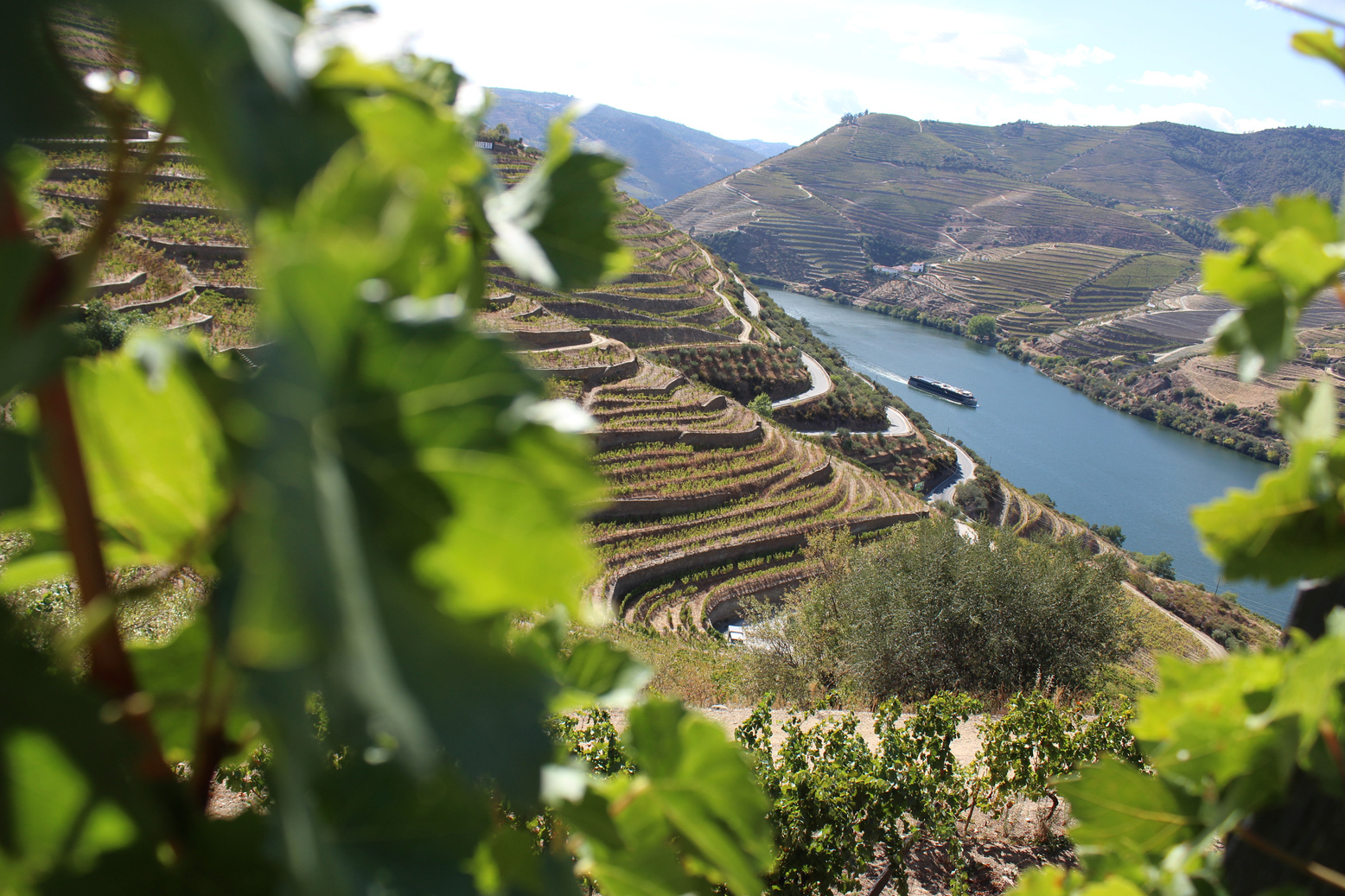 Douro