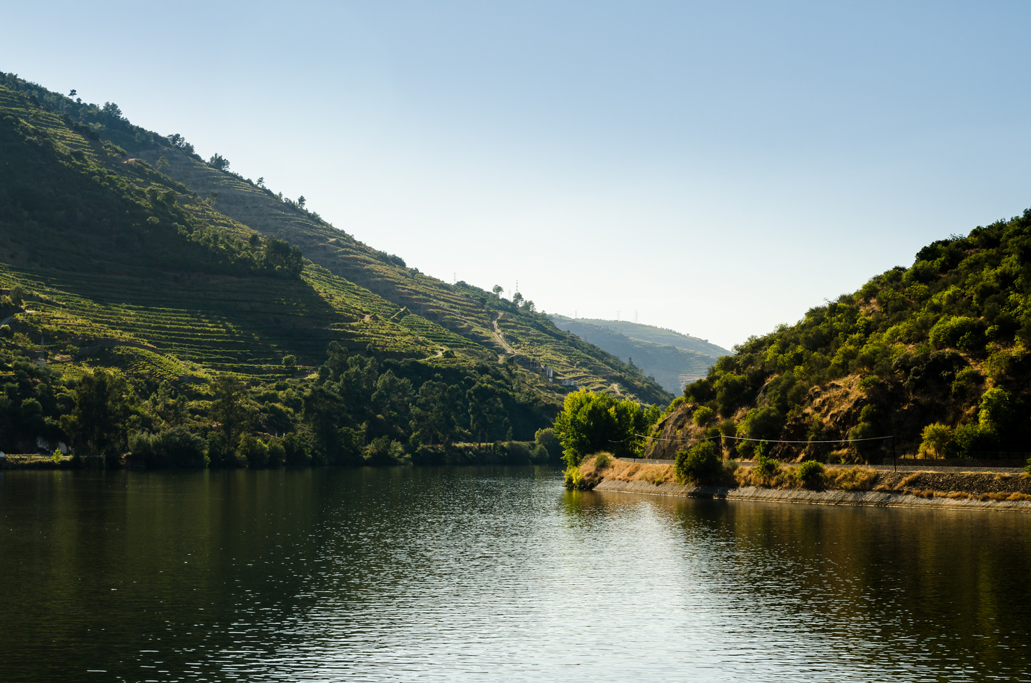 Vineyars in Douro Valley