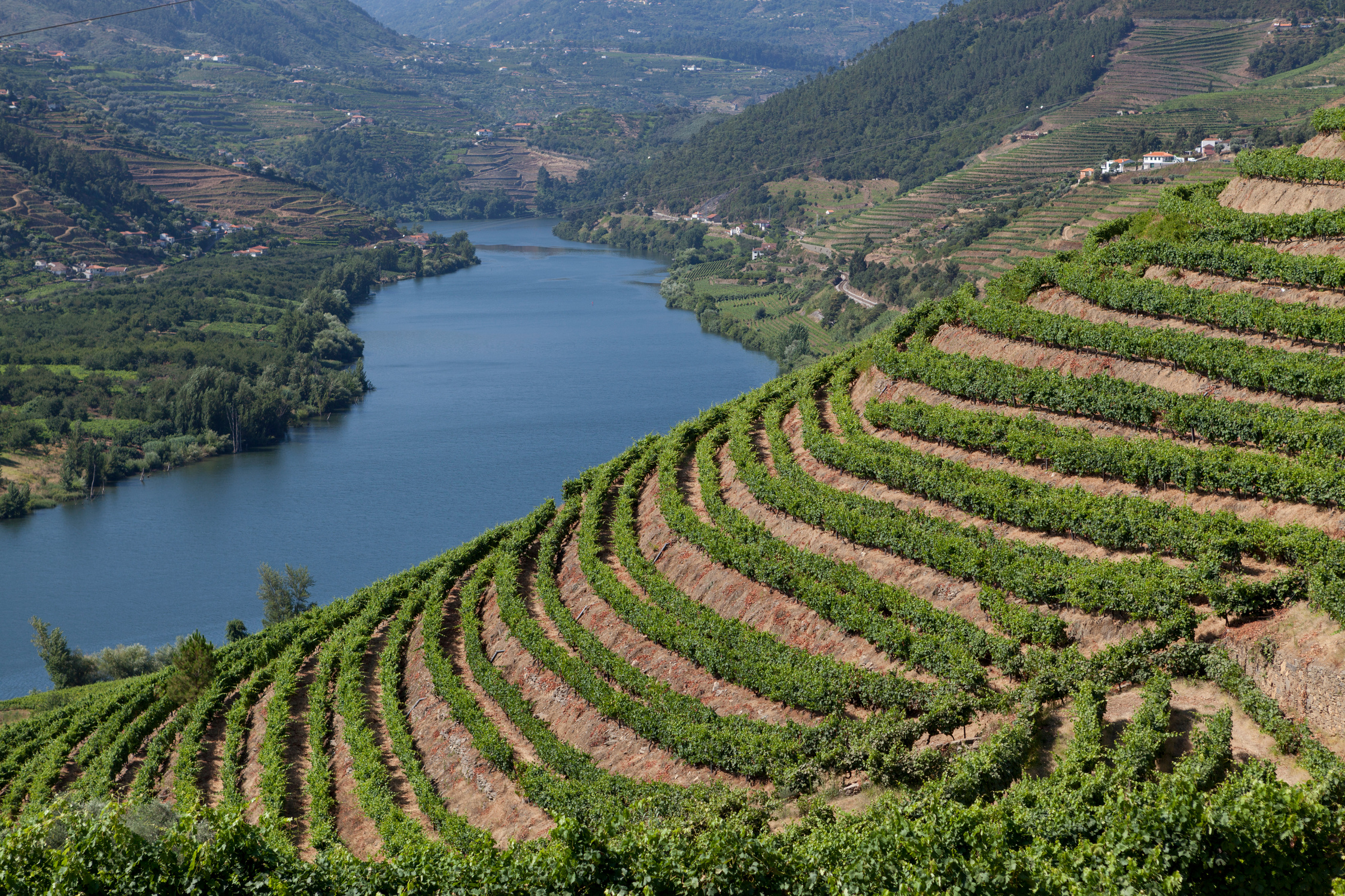 Douro Valley