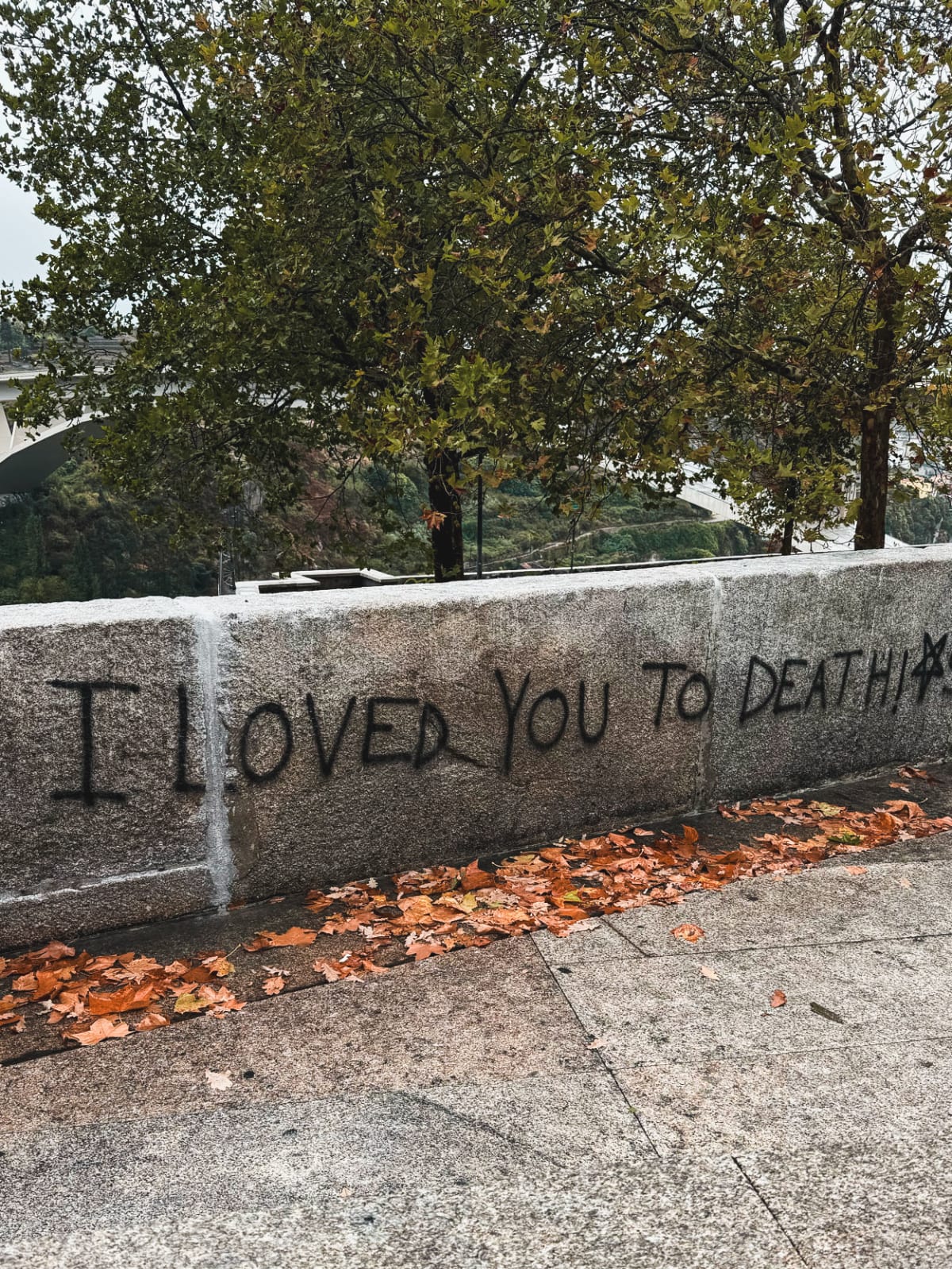 Words carved into a stone wall along the river in Porto
