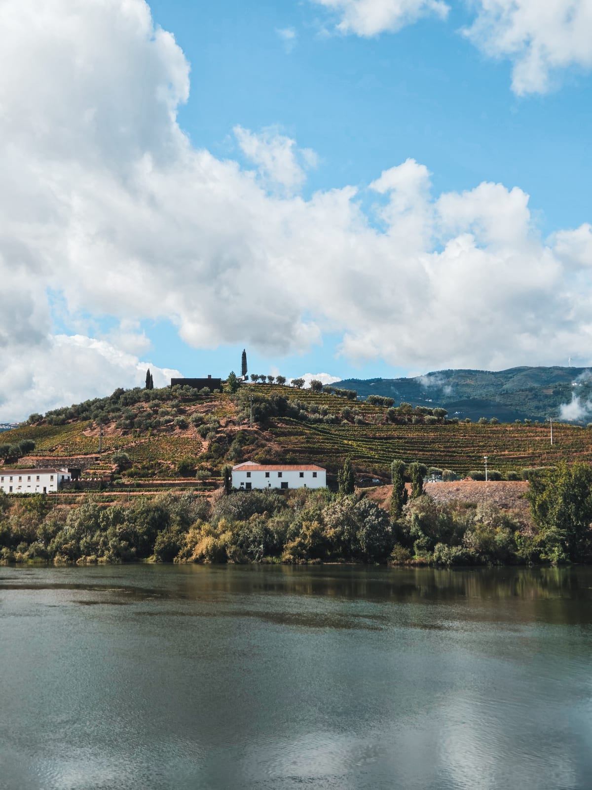 The Douro Valley seen from the water