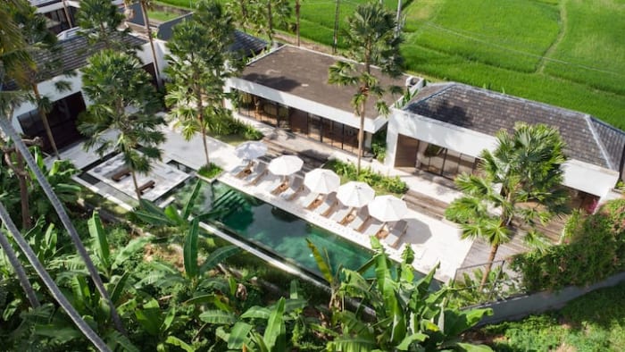 The villa from above, its pool and loungers among palms and rice fields