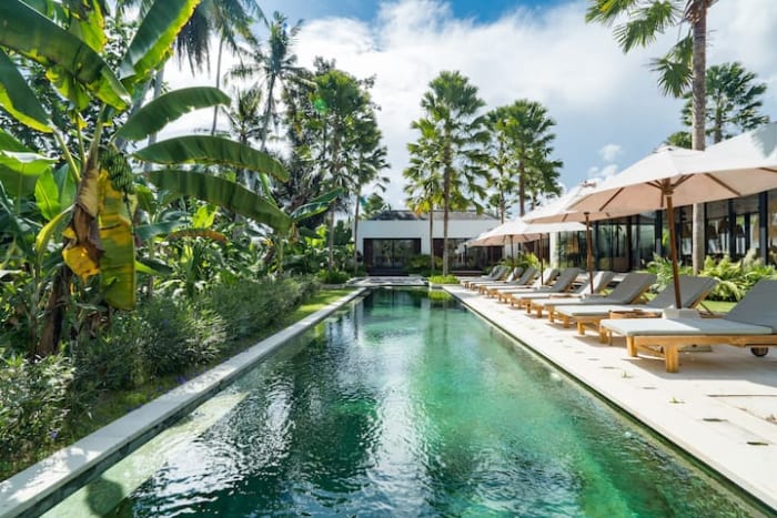 The long pool framed by banana trees and tropical garden