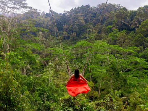 A guest on a jungle swing above the valley