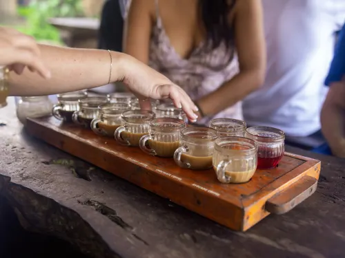 A coffee and tea tasting flight at the coffee plantation