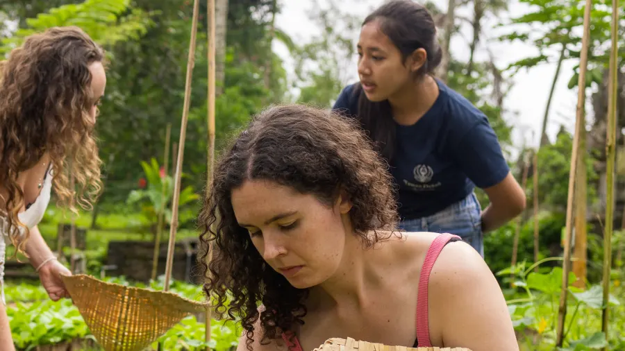 A guest harvesting greens on the organic farm